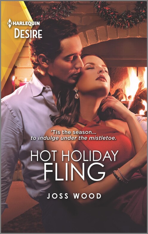 Hot Holiday Fling