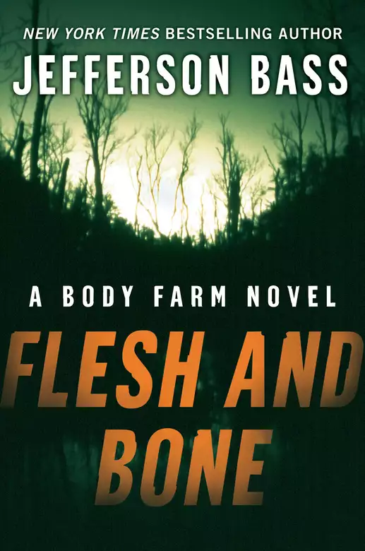 Flesh and Bone