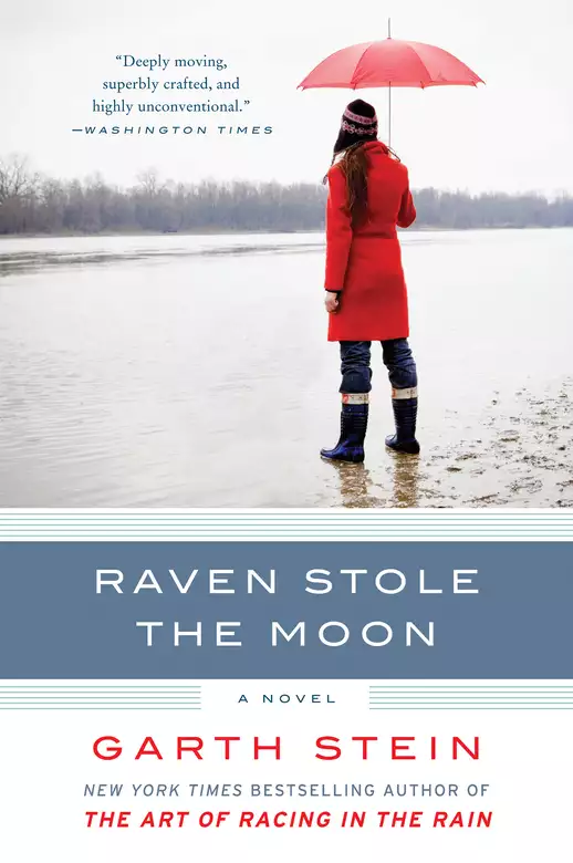Raven Stole the Moon