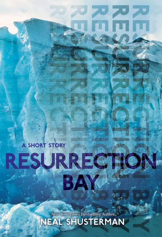 Resurrection Bay