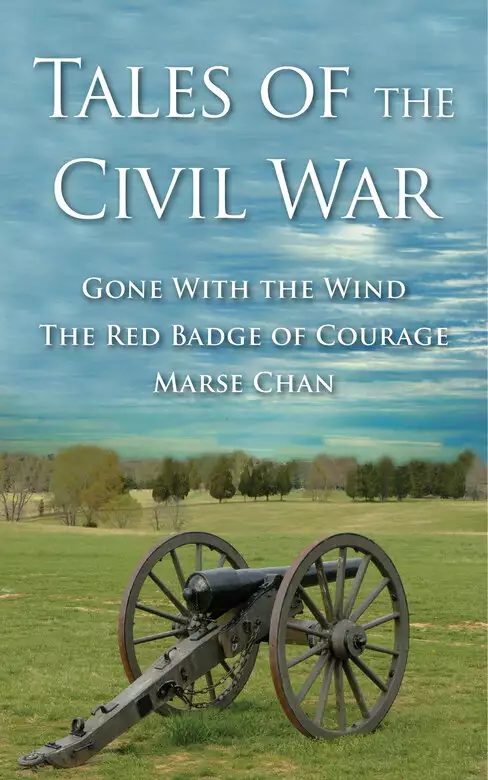 Tales Of The Civil War