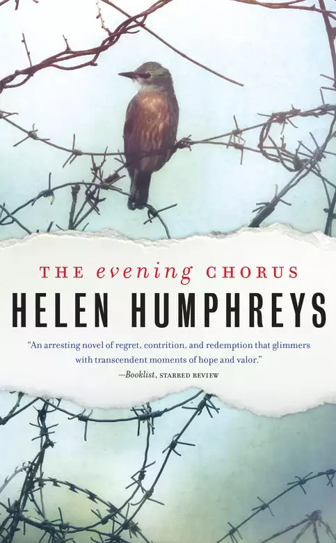 The Evening Chorus