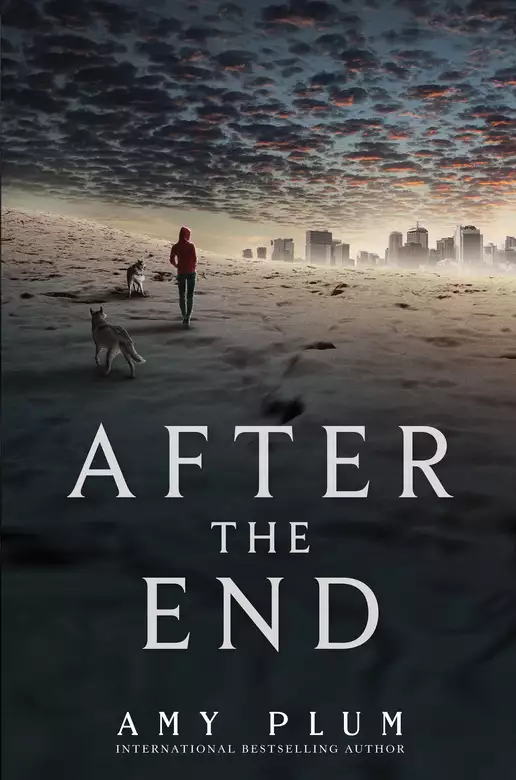 After the End