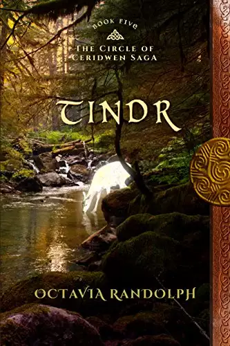 Tindr: Book Five of The Circle of Ceridwen Saga