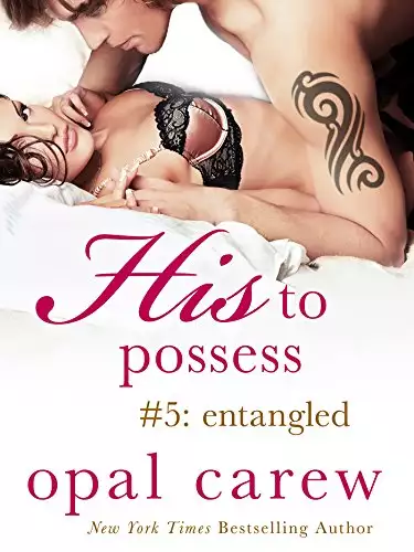 His to Possess #5: Entangled