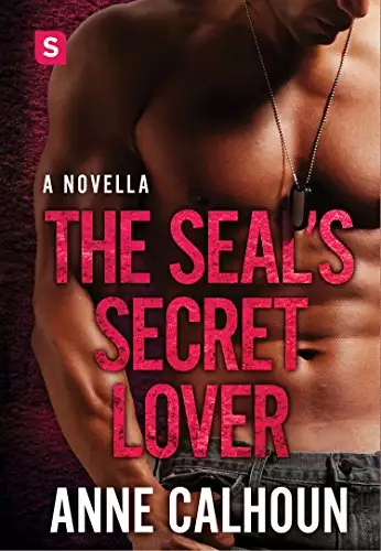 The SEAL's Secret Lover