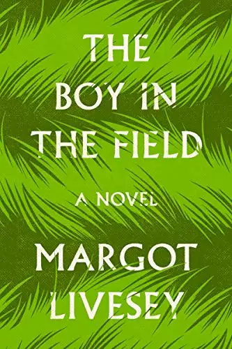 The Boy in the Field: A Novel