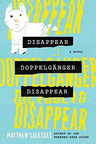 Disappear Doppelgänger Disappear: A Novel