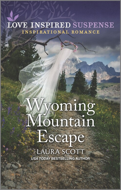 Wyoming Mountain Escape