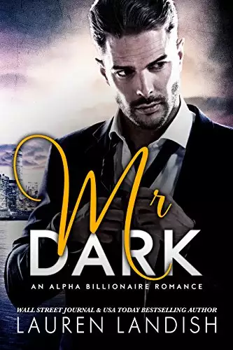 Mr. Dark: An Alpha Billionaire Romance
