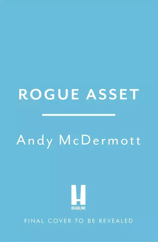 Rogue Asset