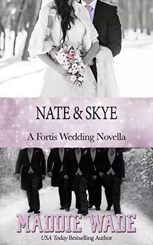 Nate and Skye: A Fortis Security Novel Book 7.5