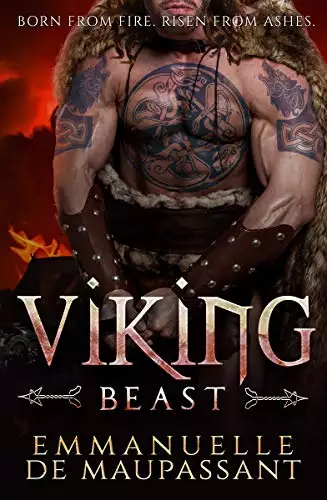 Viking Beast: a dark hero warrior romance