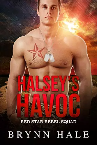 Halsey's Havoc: Curvy Woman and Soldier of Fortune Romance