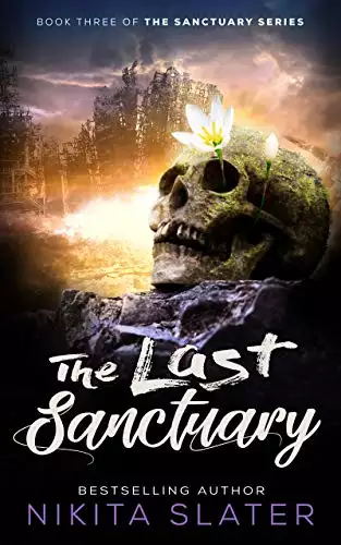 The Last Sanctuary