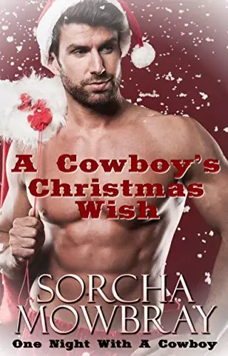 A Cowboy's Christmas Wish: One Night With A Cowboy