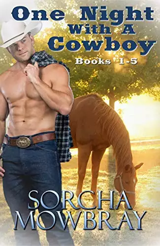 One Night With A Cowboy: (Books 1-5)