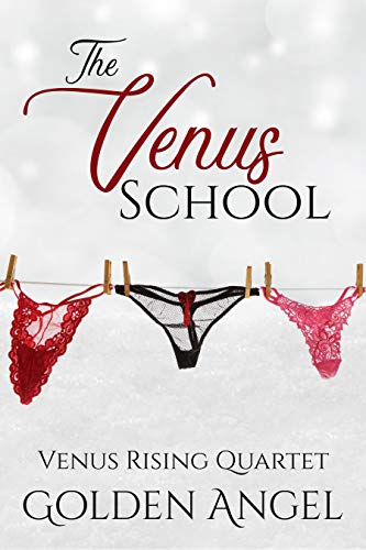 The Venus School: an MFM Romance