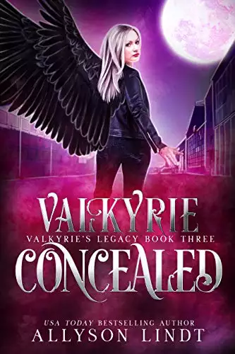 Valkyrie Concealed: A Reverse Harem Urban Fantasy