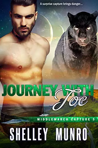 Journey with Joe