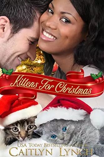 Kittens for Christmas: A Christmas Romance Short Story