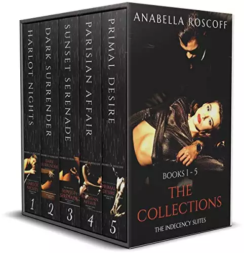 THE COLLECTIONS: Indecency Suites Books 1-5