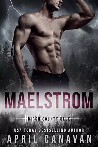 Maelstrom: Small Town Police Romance