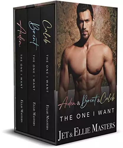 The One I Want Boxed Set: Aiden / Brent / Caleb: Love at First Sight Romantic Suspense