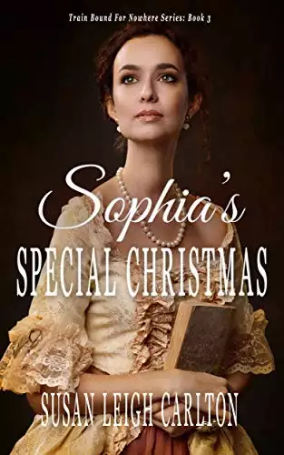 Sophia's Special Christmas: The Orphan's Mother