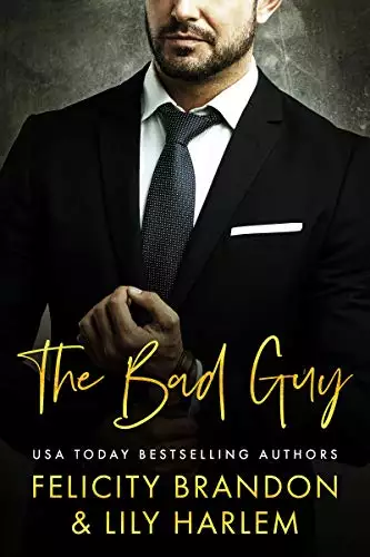 The Bad Guy: A Dark Mistaken Identity Romance