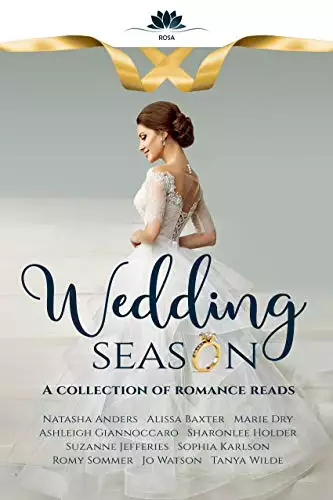 Wedding Season: A collection of romance reads