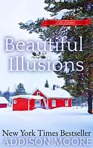 Beautiful Illusions: Women's Fiction