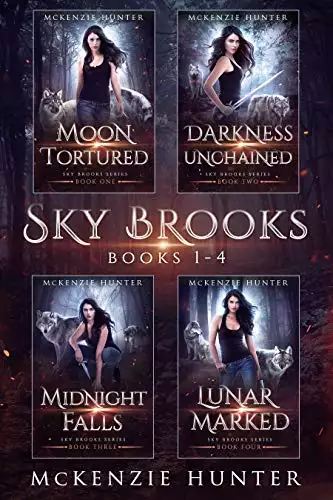 Sky Brooks Series: An Urban Fantasy Boxed Set (Books 1-4)