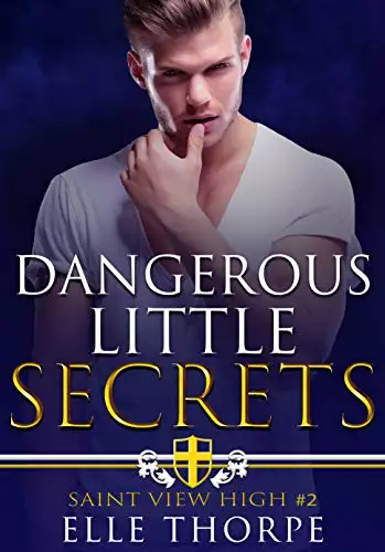 Dangerous Little Secrets: A Reverse Harem Bully Romance