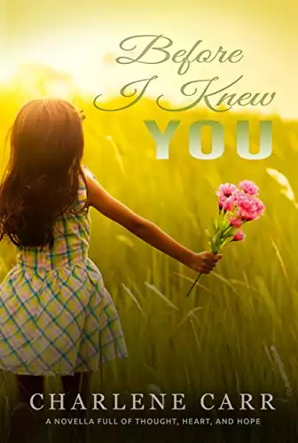 Before I Knew You: A Novella Full of Thought, Heart, and Hope