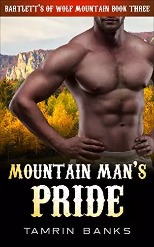 Mountain Man’s Pride: A curvy woman alpha single father second chance instalove romance