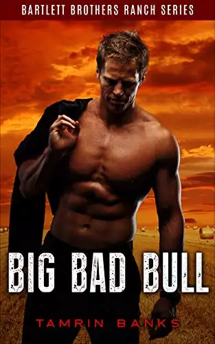 Big Bad Bull: A Curvy Younger Woman Older Alpha Male Instalove Romance