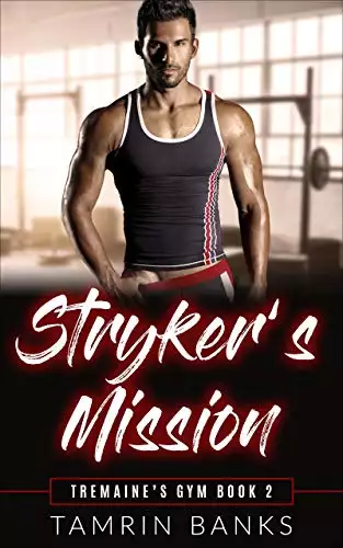 Stryker's Mission: An ex-military alpha man and curvy younger woman instalove romance