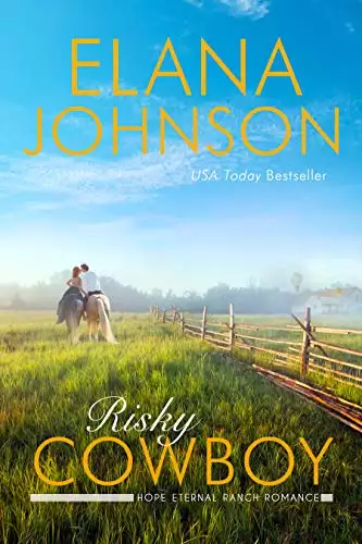 Risky Cowboy: A Mulbury Boys Novel