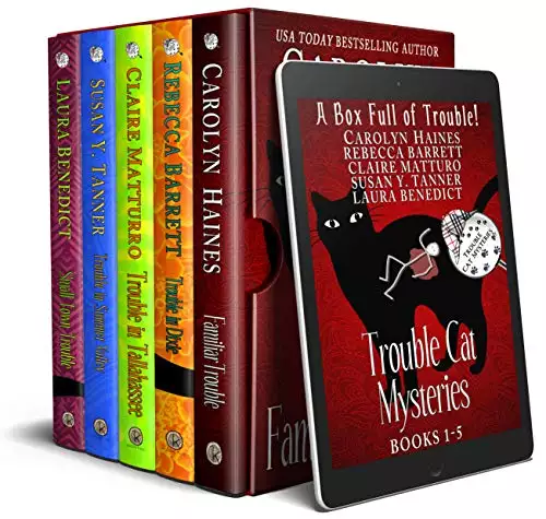 A Box Full of Trouble: 5 Black Cat Detective Novels from the Trouble Cat Mysteries series