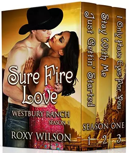 Surefire Love: BWWM Cowboy/Western Romance