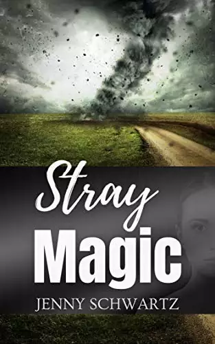 Stray Magic: A Dystopian Fantasy