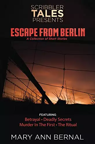 Scribbler Tales Presents: Escape from Berlin