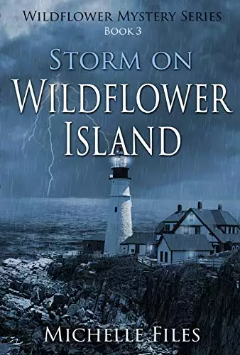 Storm on Wildflower Island: A Suspenseful Mystery