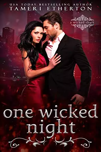 One Wicked Night: An incubus succubus fated mates romance