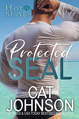 Protected by a SEAL: An Enemies to Lovers Romance