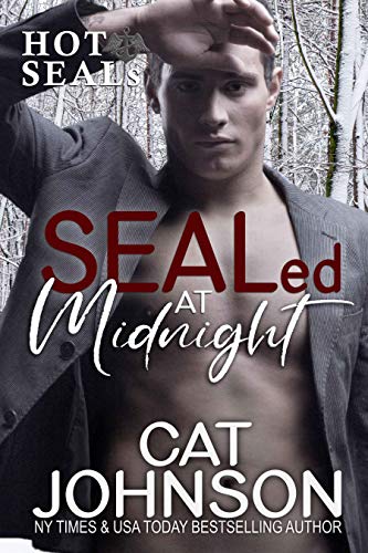 SEALed at Midnight: A SEAL Romance