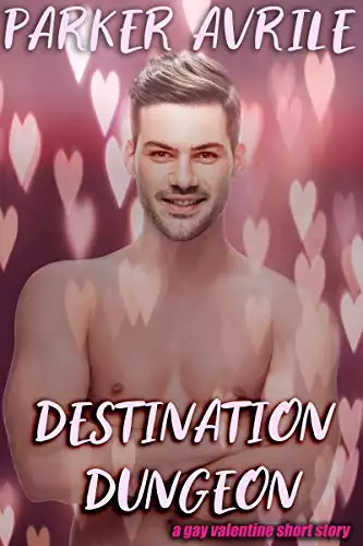 Destination Dungeon: A Gay Valentine Short Story