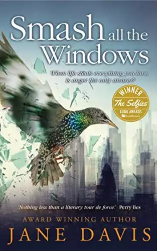 Smash all the Windows: Winner of The Selfies (Best independent adult fiction author) 2018