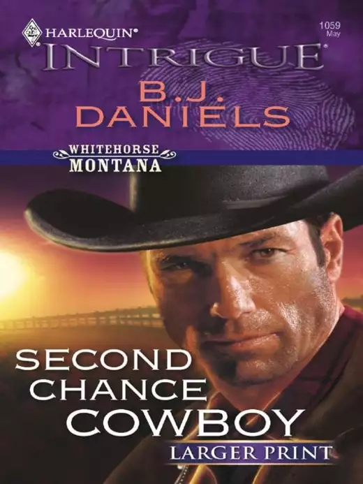 Second Chance Cowboy